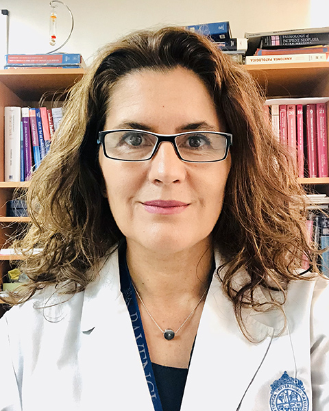 Antonieta Solar, MD