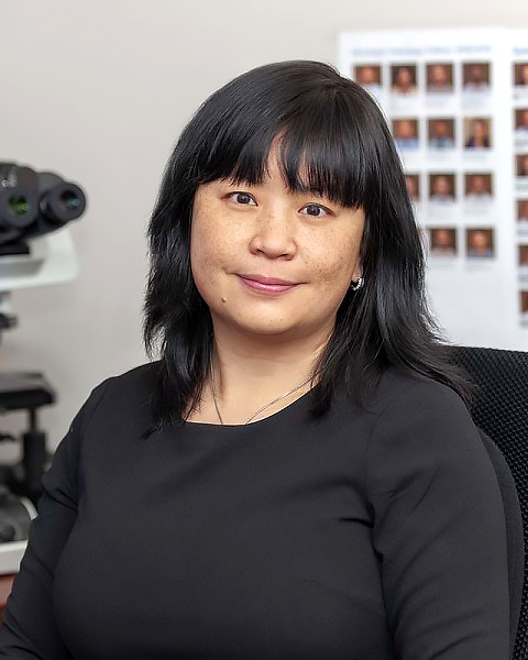 Bin Xu, MD, PhD