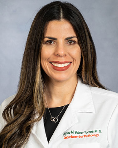 Jaylou M. Velez-Torres, MD